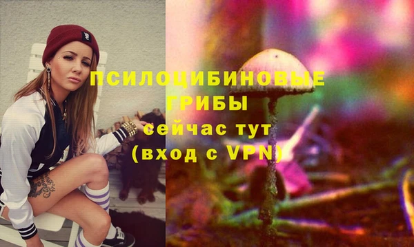 mdpv Арсеньев