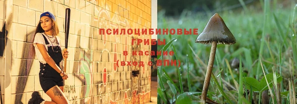 mdpv Арсеньев