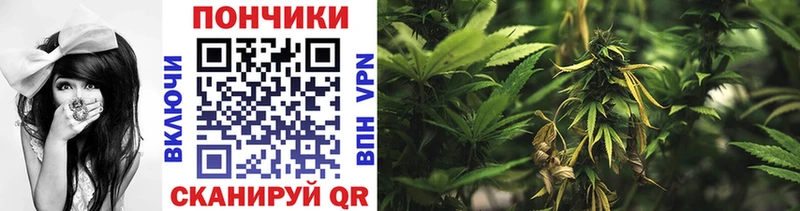 Бошки марихуана планчик  kraken маркетплейс  Поронайск 